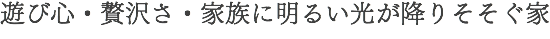 遊び心・贅沢さ・家族に明るい光が降りそそぐ家