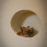 長泉町｜パステルカラーがかわいいナチュラルハウス。施工例