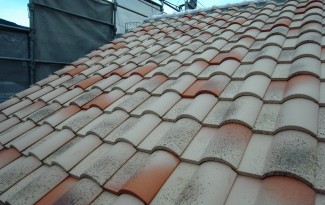 １月１４日　 (30)