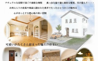 Ｋ新価格のお知らせ　2015年2月1415（1550万入）